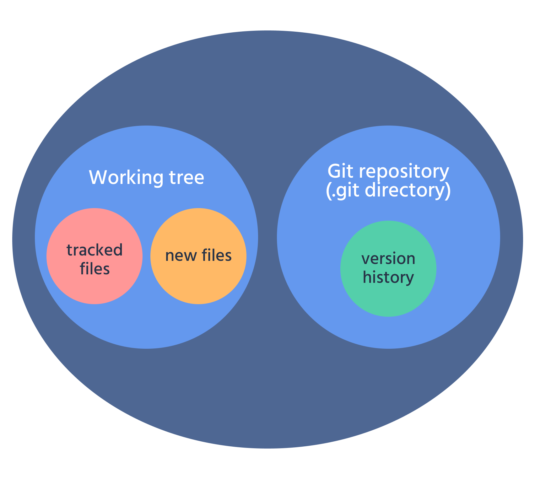 Directory del progetto