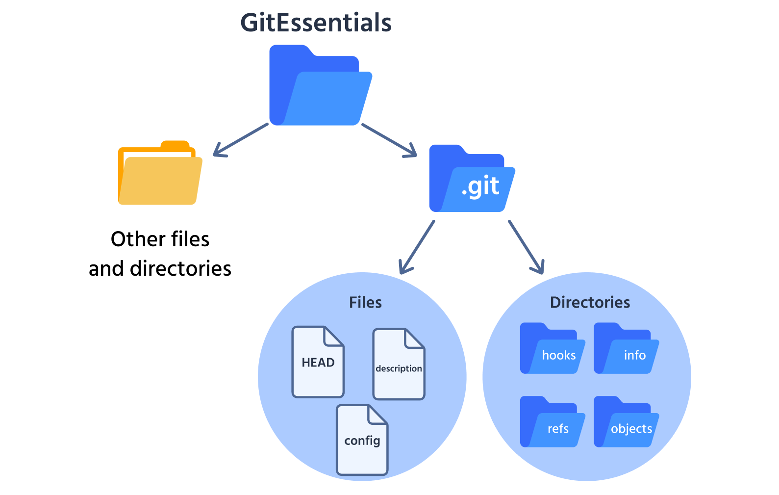 Directory del progetto
