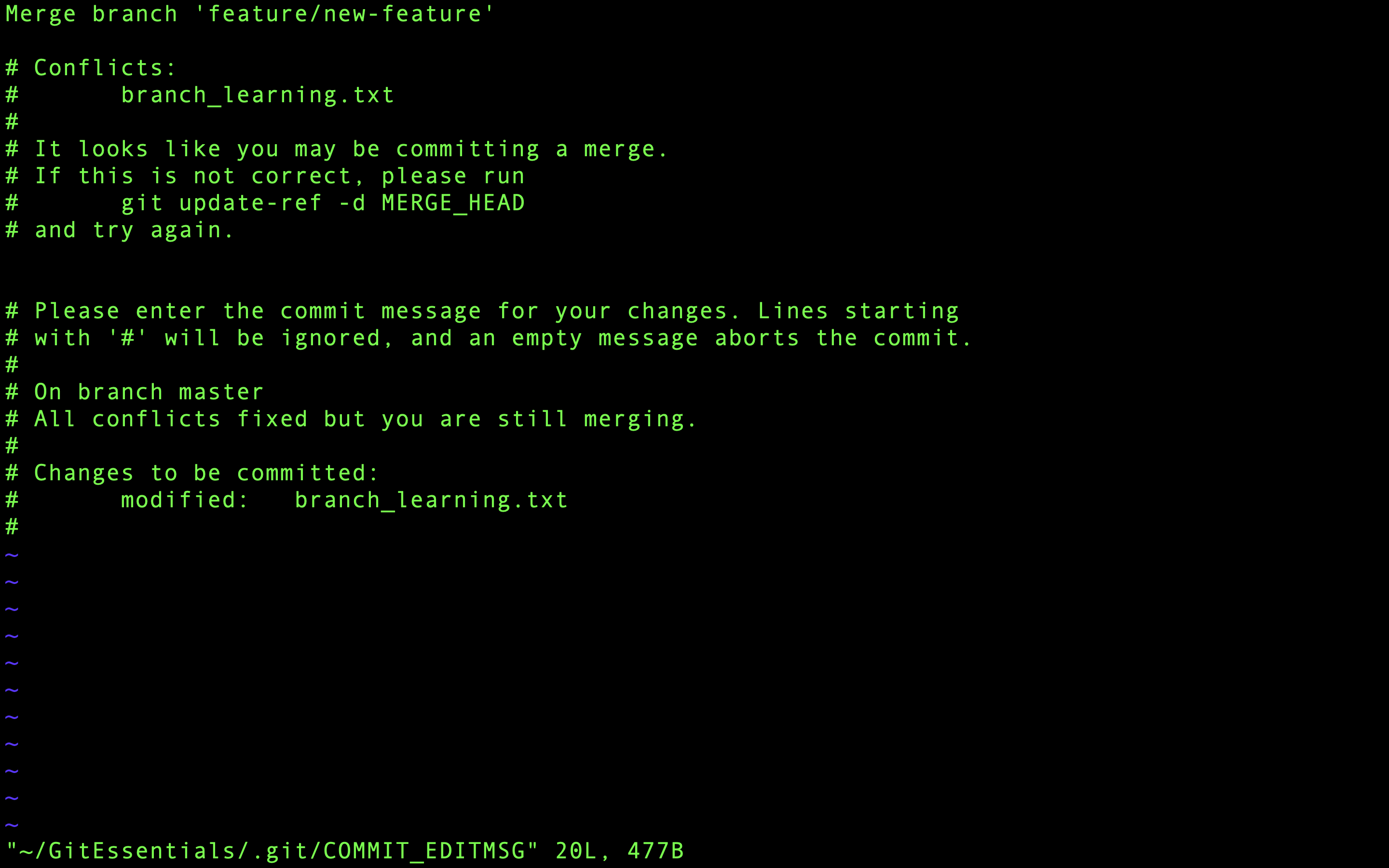 Standardmeddelande för commit