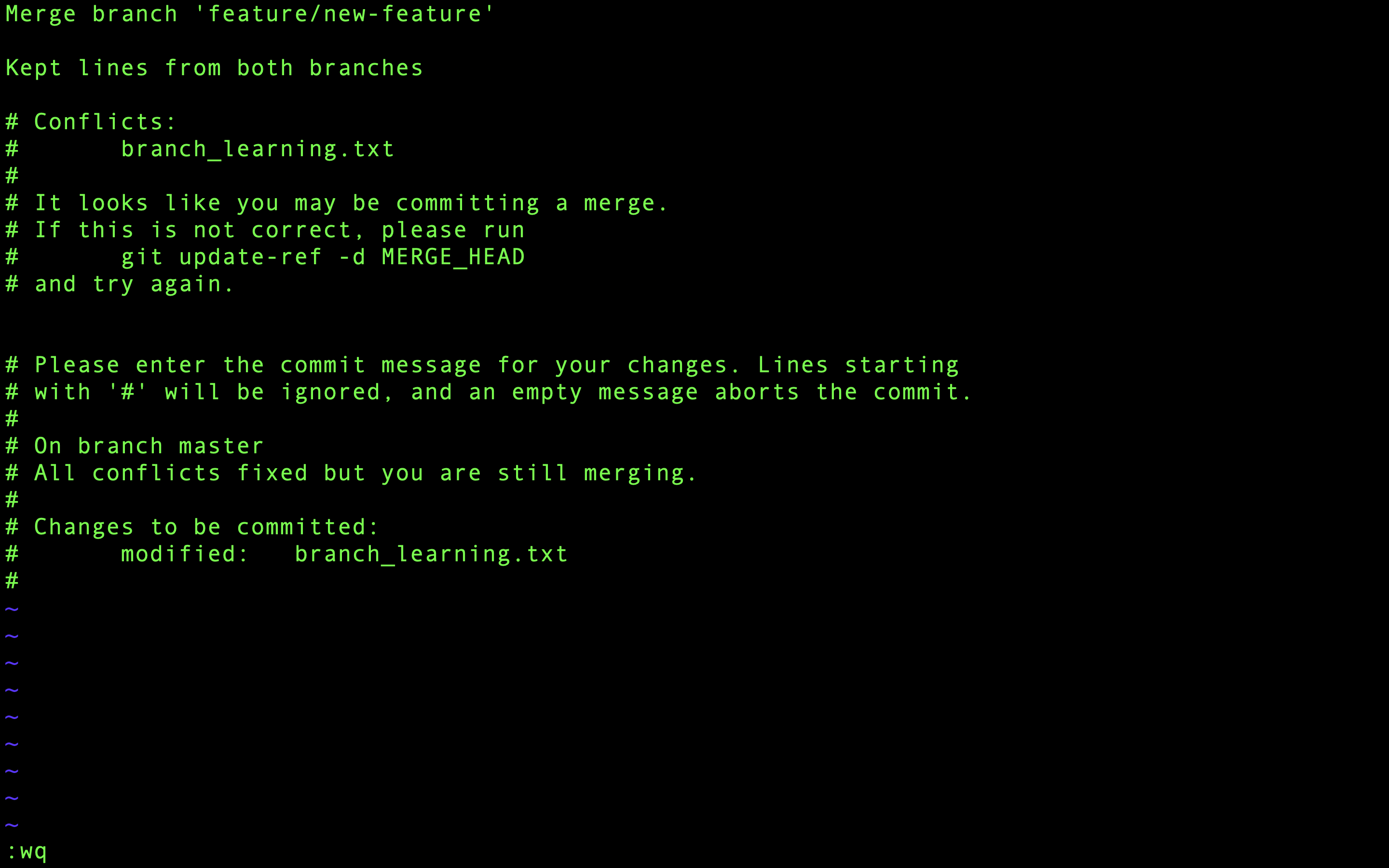 Sparar det ändrade meddelandet och avslutar Vim