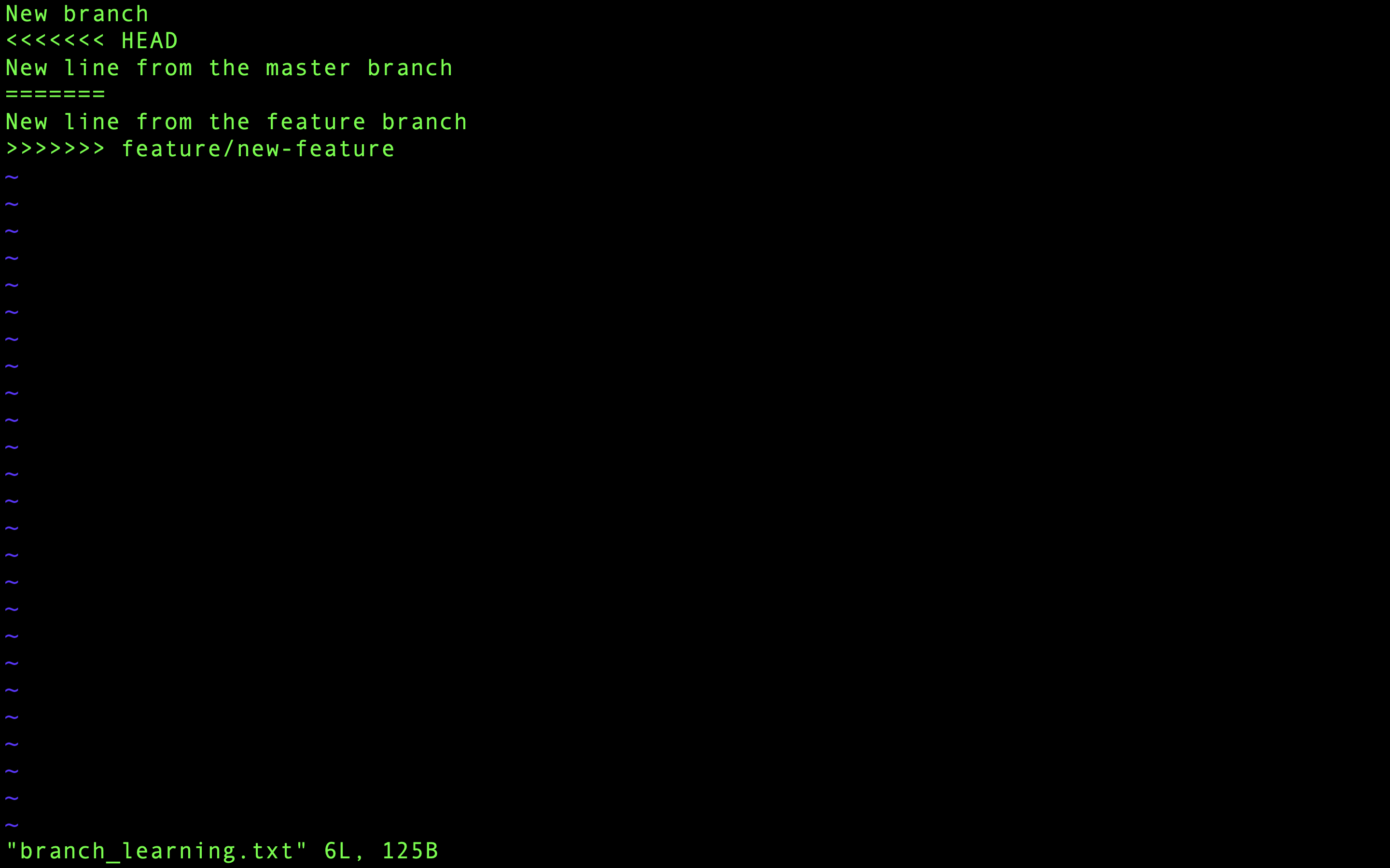 Fil med konflikter öppnad i Vim
