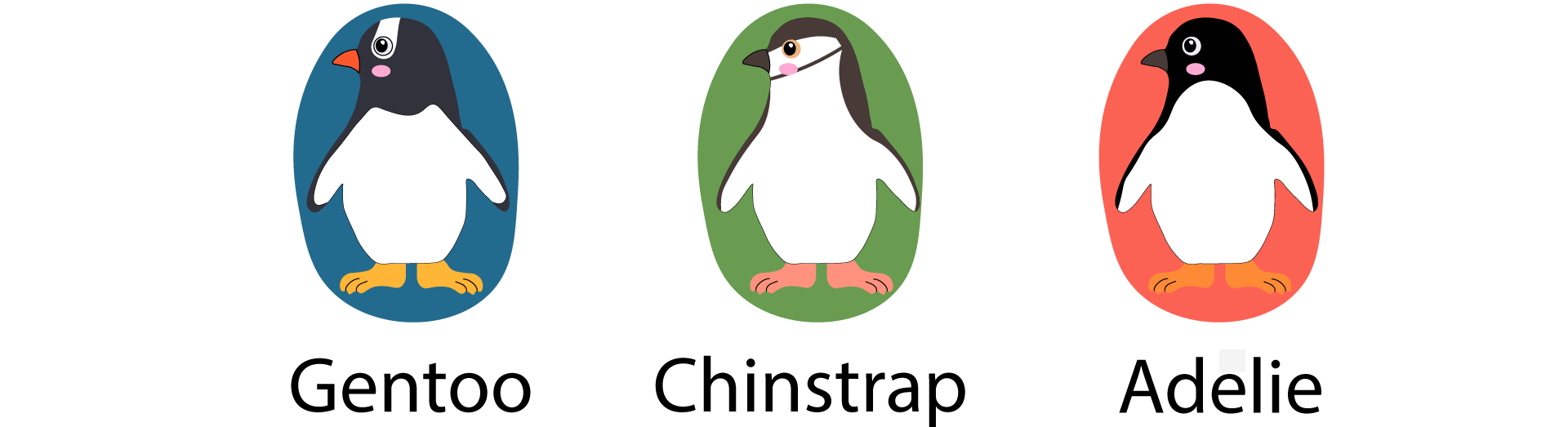 Pingüinos