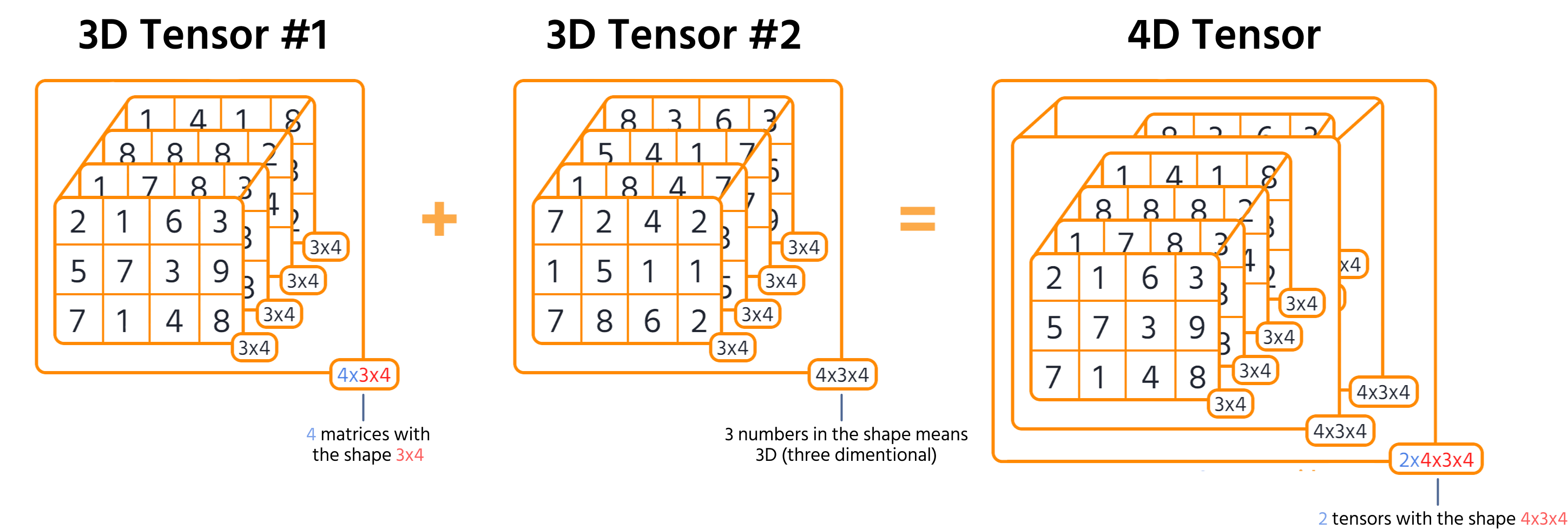 3d_tensor_to_4d_1
