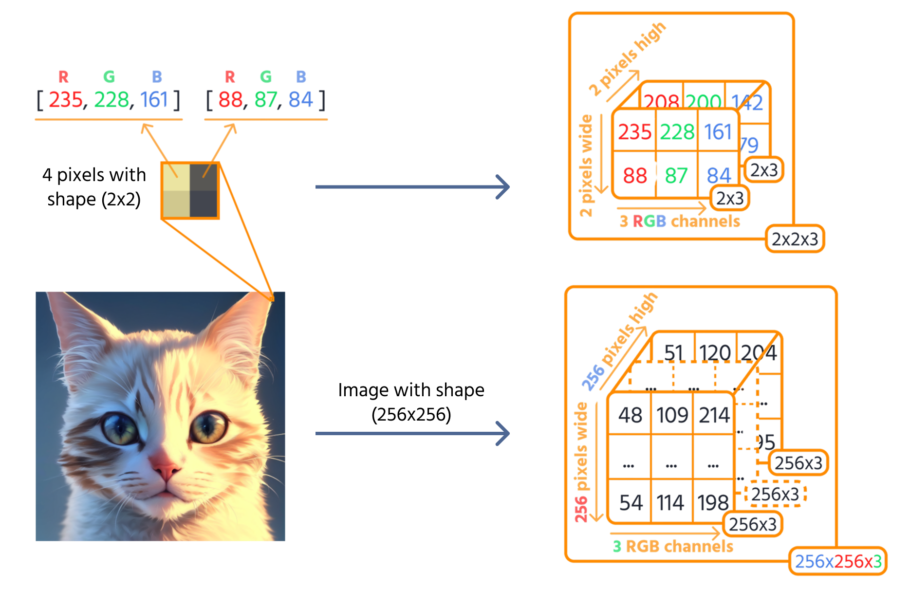 image_as_tensor