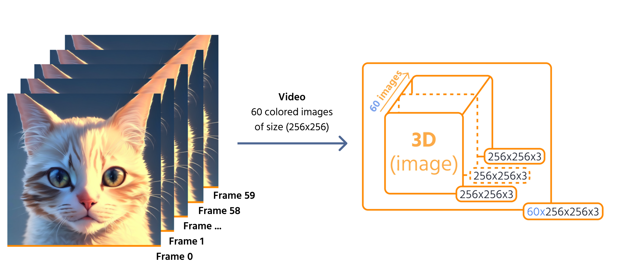 video_as_tensor