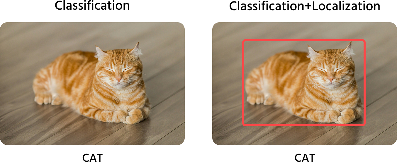 classification_vs_localization
